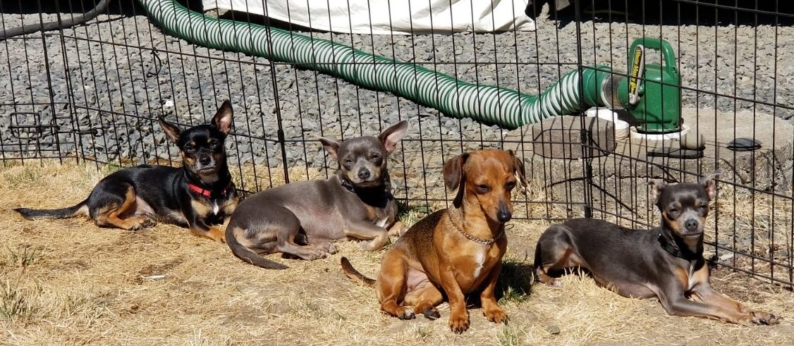 Lazing in the sun at our first RV park...